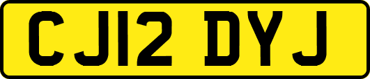CJ12DYJ