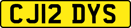CJ12DYS