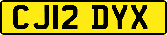 CJ12DYX