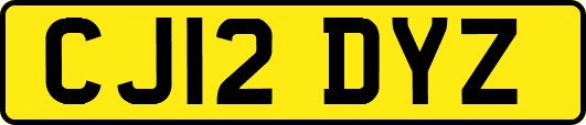 CJ12DYZ