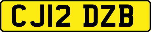 CJ12DZB