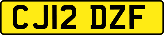 CJ12DZF