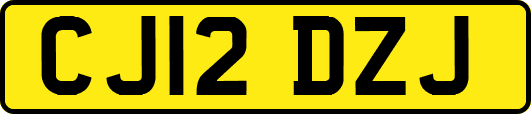 CJ12DZJ
