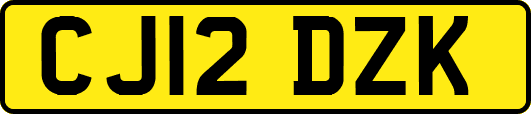 CJ12DZK