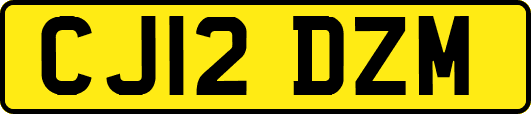 CJ12DZM