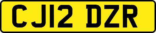 CJ12DZR