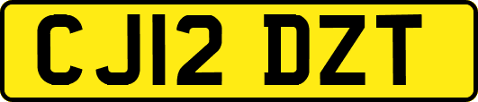 CJ12DZT