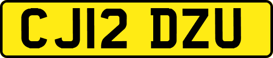 CJ12DZU