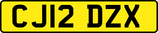 CJ12DZX