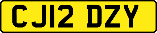 CJ12DZY