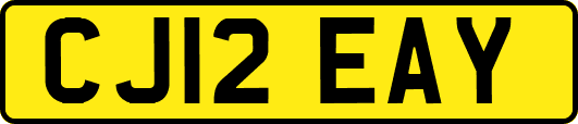 CJ12EAY