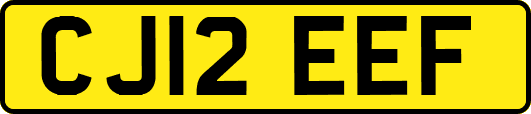 CJ12EEF