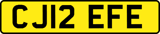 CJ12EFE