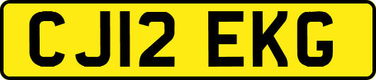 CJ12EKG