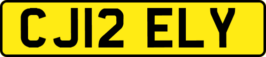 CJ12ELY