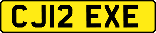 CJ12EXE