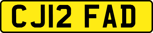 CJ12FAD