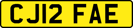 CJ12FAE