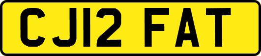 CJ12FAT