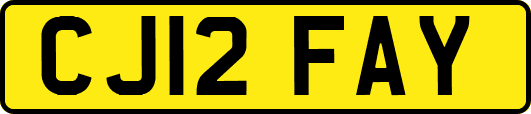 CJ12FAY