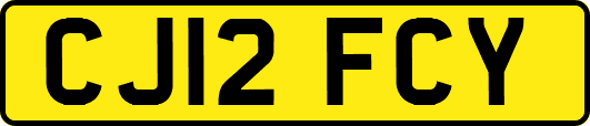 CJ12FCY