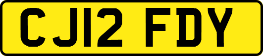CJ12FDY