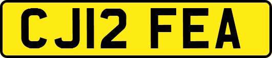 CJ12FEA