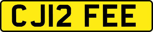 CJ12FEE