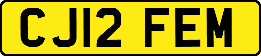 CJ12FEM