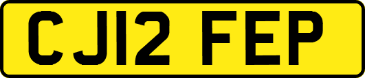 CJ12FEP