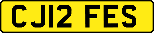 CJ12FES