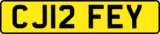 CJ12FEY