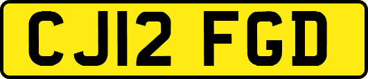CJ12FGD