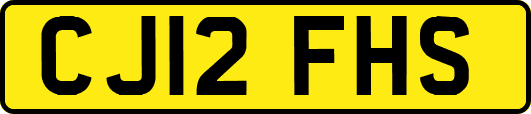 CJ12FHS