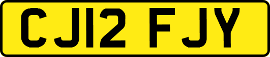 CJ12FJY