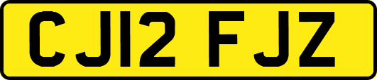 CJ12FJZ