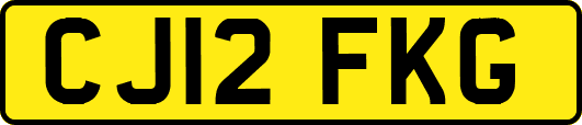CJ12FKG