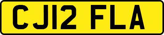 CJ12FLA