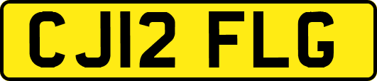 CJ12FLG