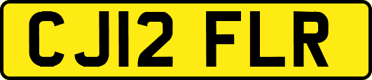 CJ12FLR