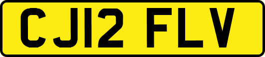 CJ12FLV
