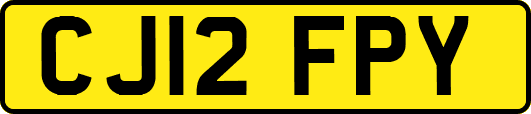CJ12FPY