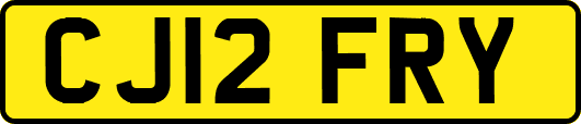 CJ12FRY