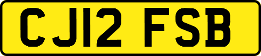 CJ12FSB
