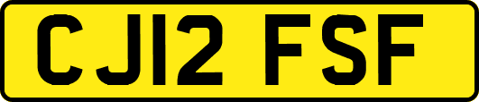 CJ12FSF