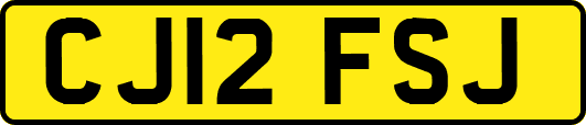 CJ12FSJ