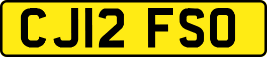 CJ12FSO