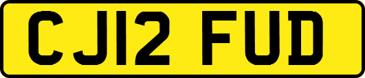 CJ12FUD