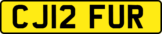 CJ12FUR