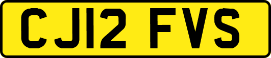 CJ12FVS